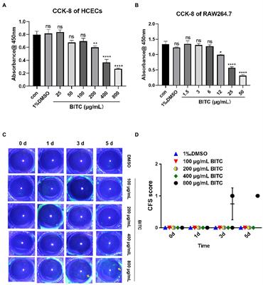 Benzyl isothiocyanate improves the prognosis of Aspergillus fumigatus keratitis by reducing fungal load and inhibiting Mincle signal pathway